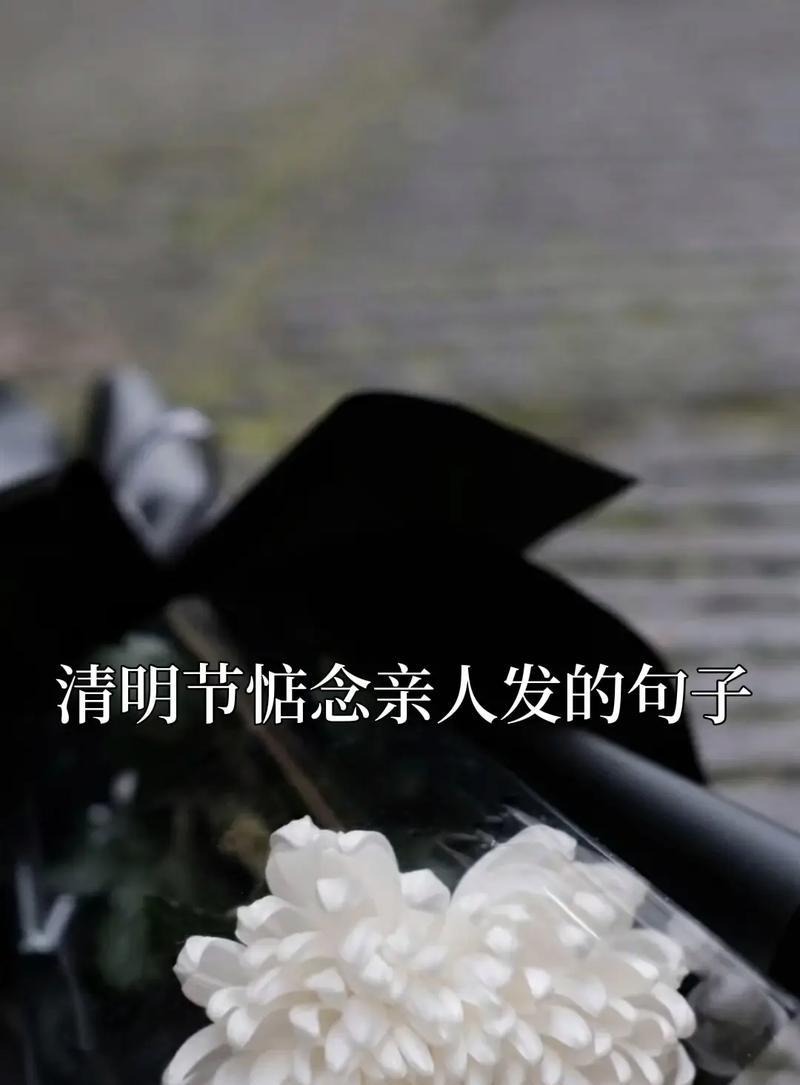 《花寄哀思：清明之殇》