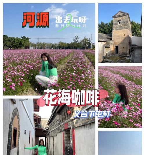 《河源清明：赏花语，古韵今赏》