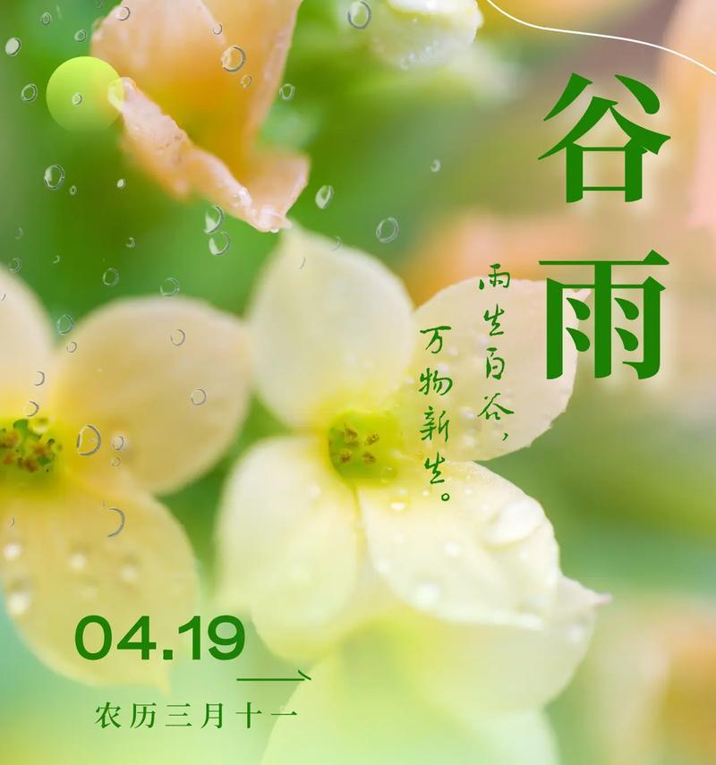 谷雨：润物细无声