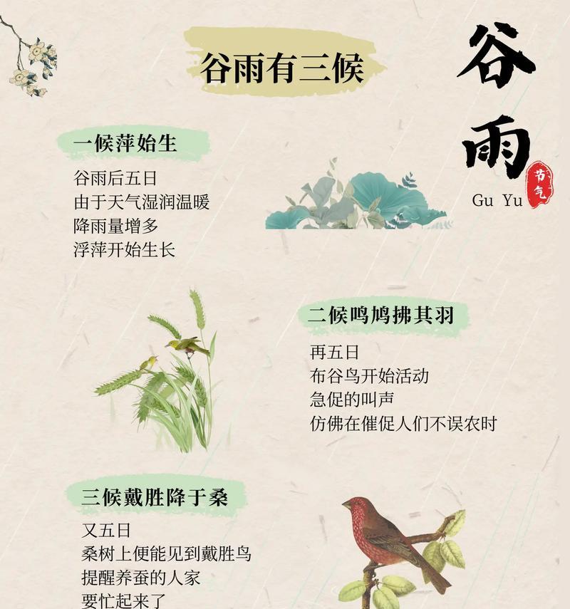 谷雨润物细无声——春华秋实的岁月情长