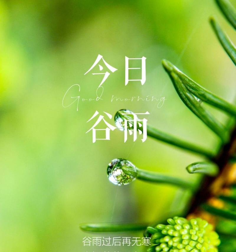 《谷雨耕心，诗墨春秋》