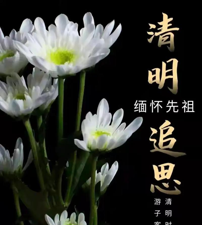 《清明时节雨纷纷，忆故人思绵绵》