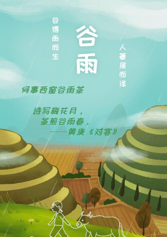 谷雨润心，茶语流香——雨后品茗，古风雅韵