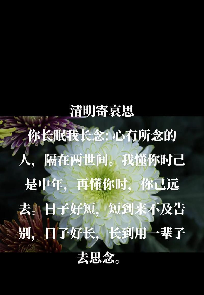 《清明远影古意盎然》