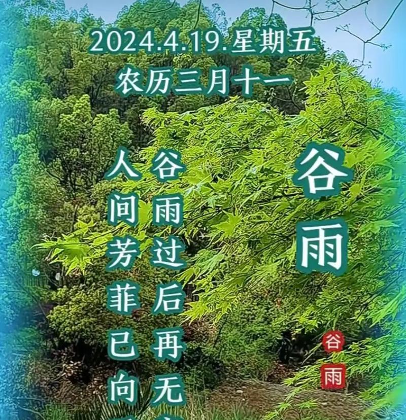 谷雨春归处，花事了无痕