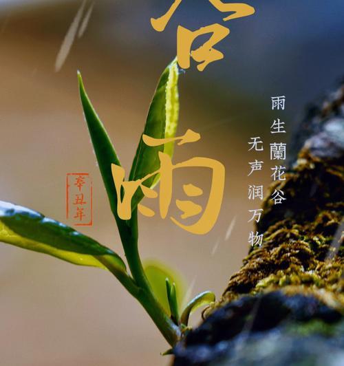 《谷雨润物细无声，饥荒岁月泪满襟》