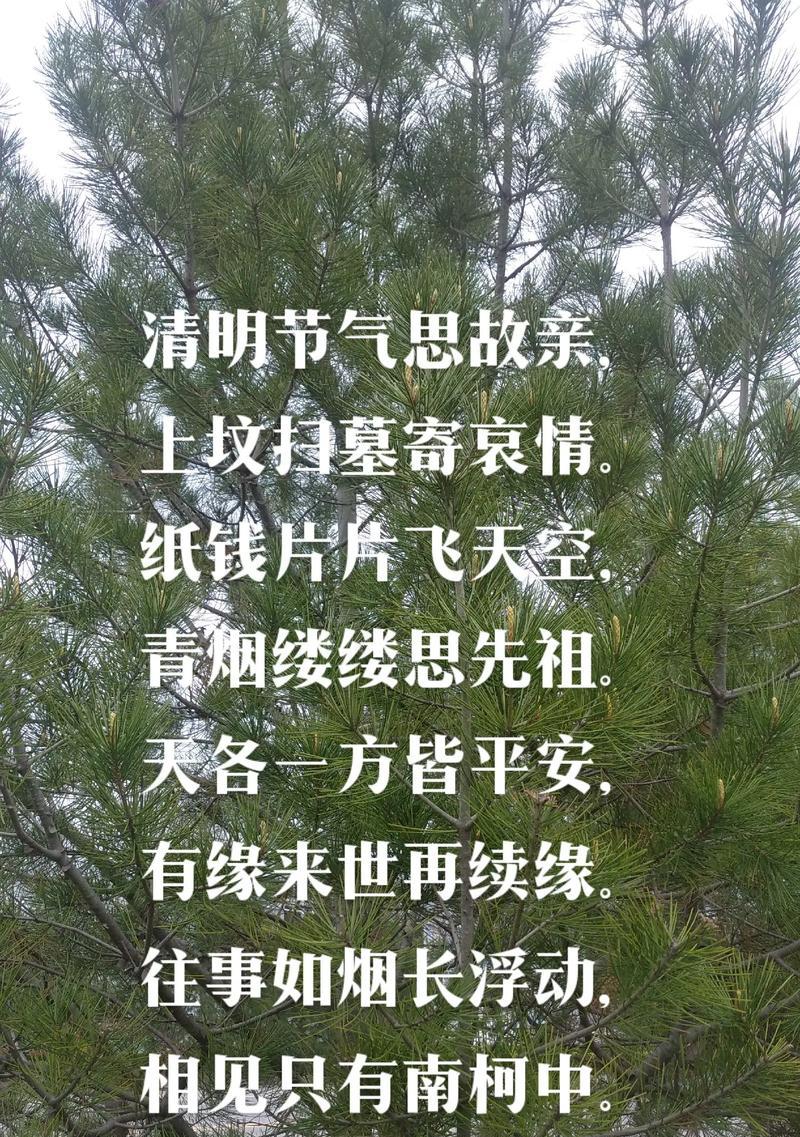 《清明天语：春风又绿江南岸》