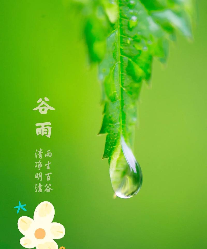 《谷雨时节，山花烂漫》