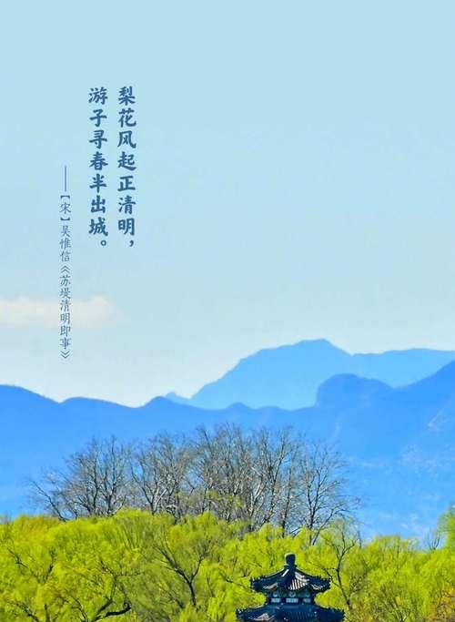《踏青寻春：千载流芳之四时佳景》