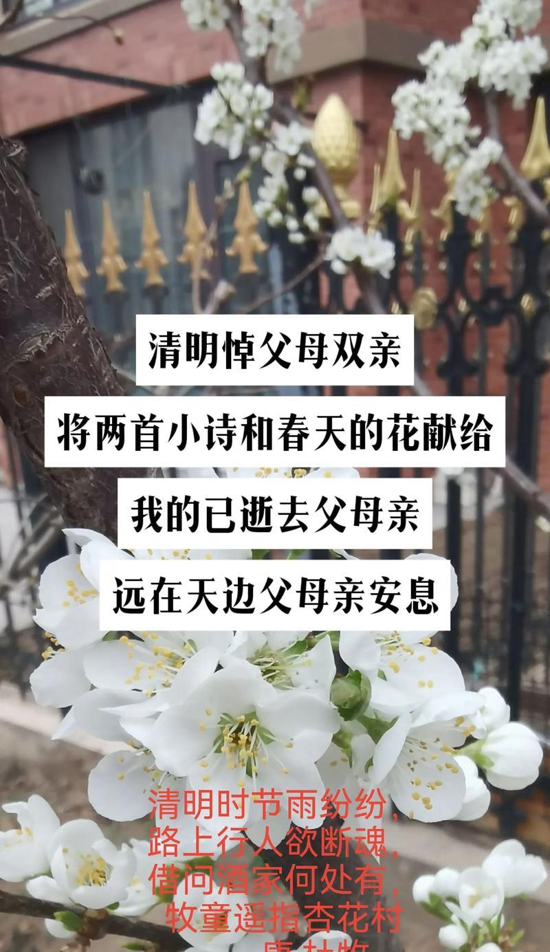 《寒食飘香，清明思亲》