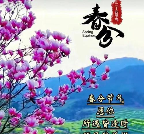 《春风化雨，诗意生辉》