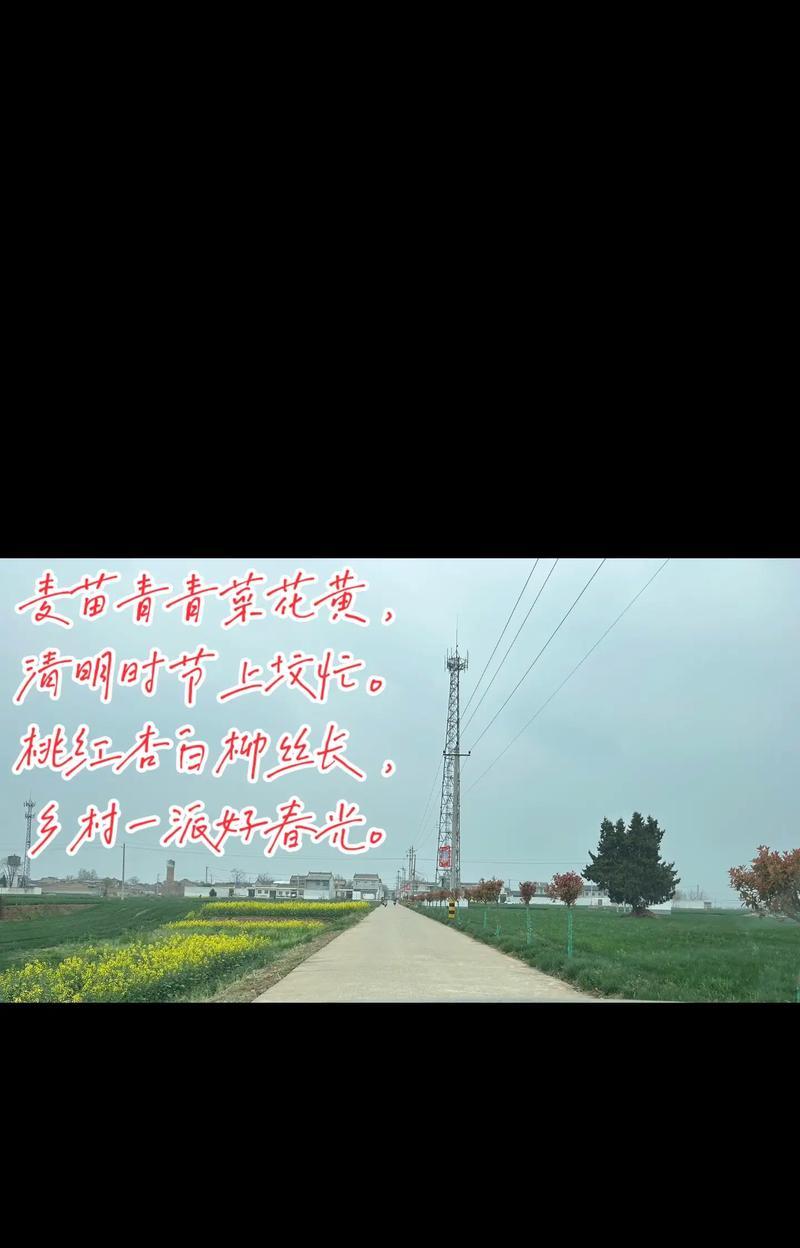 《春归何处？清明探幽》