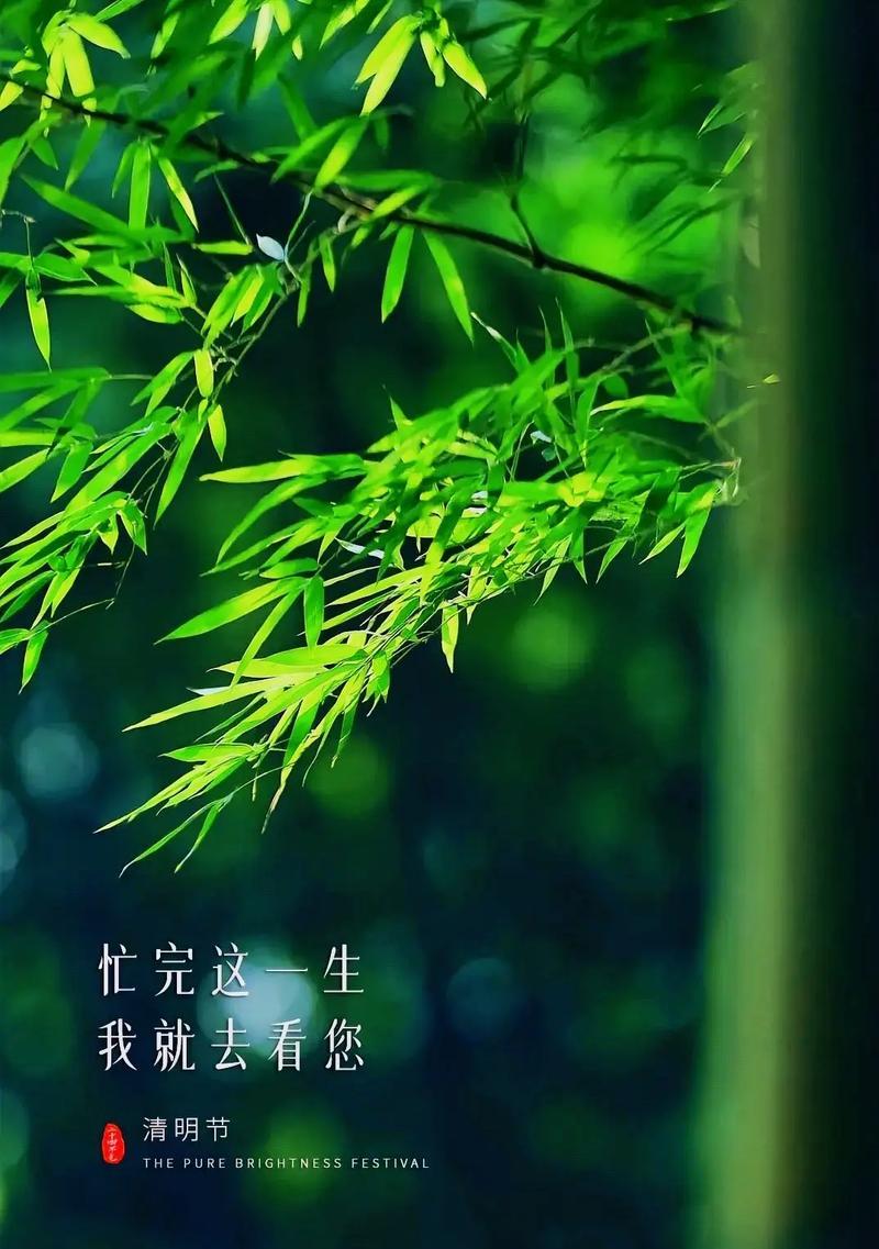 《春归何处？清明探幽》