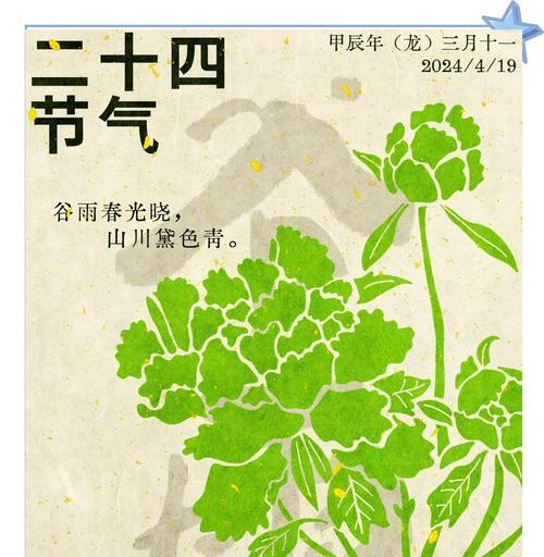 谷雨时节，牡丹映照古风华