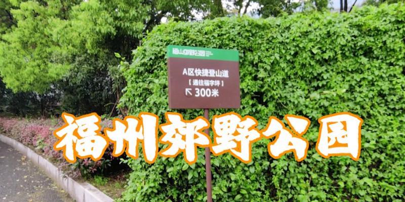 《翠微春晓：清明郊野之颂》