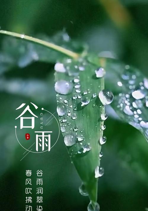《谷雨润心，疫情静思》
