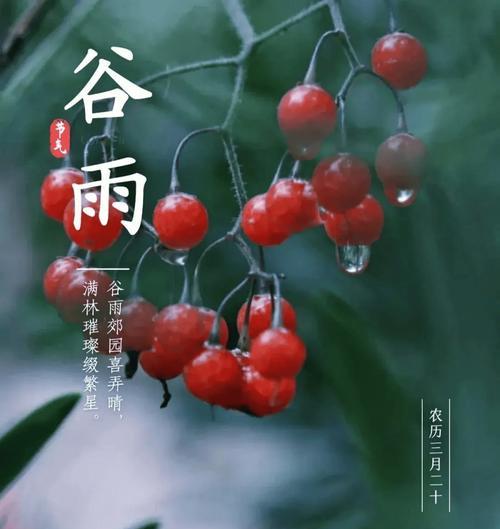 《谷雨之际，诗意盎然——经典诗句中的时节之美》