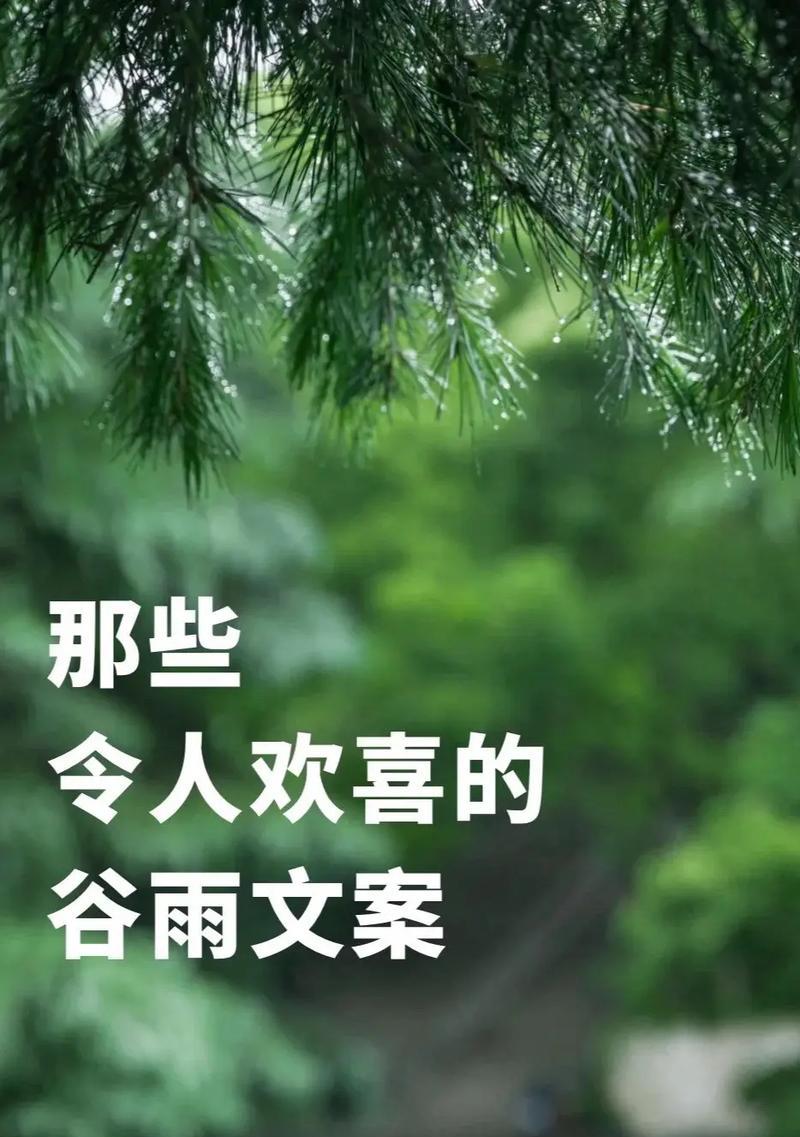 《雨润谷心，诗韵悠然》