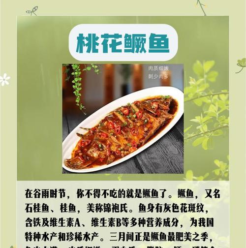 《谷雨时令：古韵食香，春意盎然》