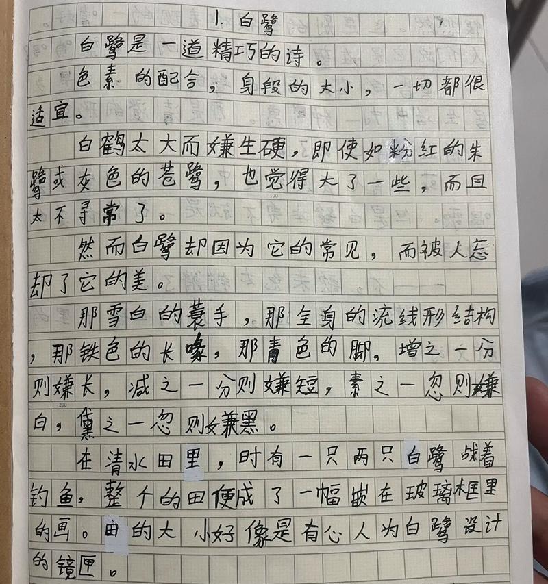 有关白鹭和谷雨片段作文的作文怎么写（《白鹭和谷雨片段作文》）
