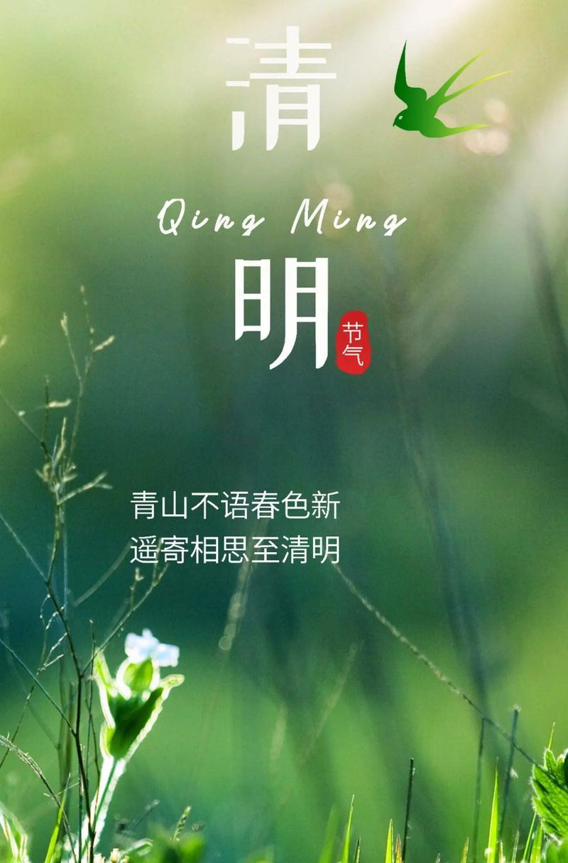 看花灯的情景（襄阳清明夜，花灯绘诗意）