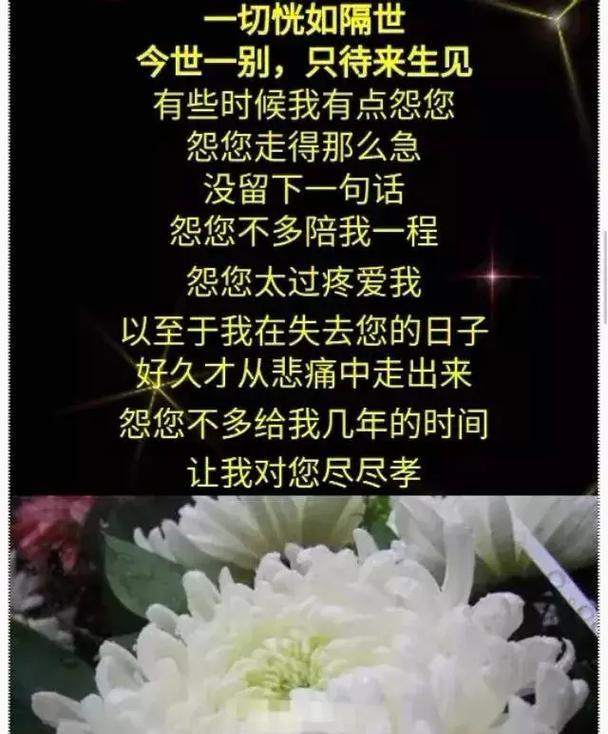 清明节的感想怎么写?（《翠柳垂丝）