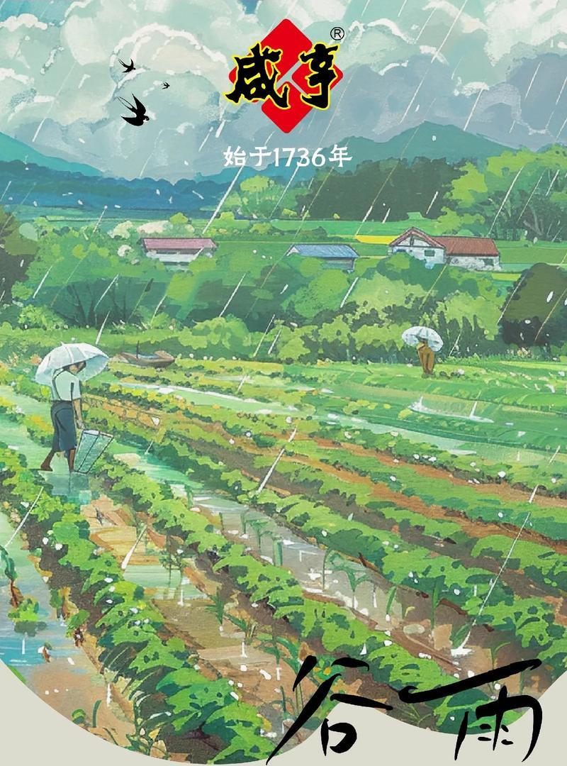 春雨和其他季节的雨对比（《润物细无声，谷雨话春归》）