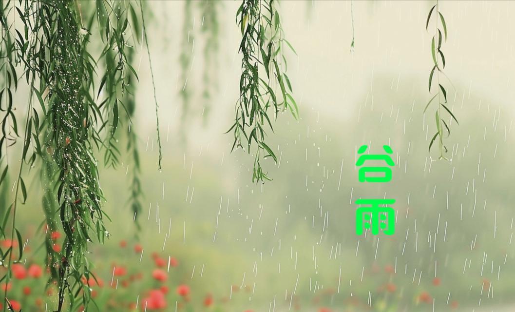 谷雨过后下雨怎么形容（《谷雨余晖下的诗意时光》）