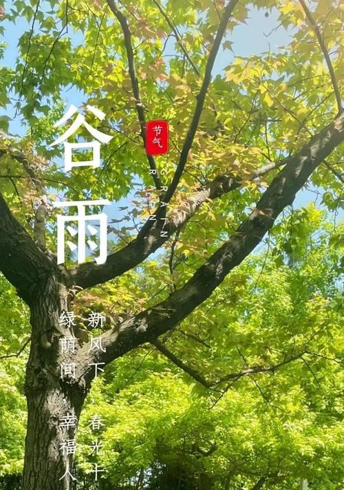 谷雨客服工案简短说说好句？（《谷雨之约：客服工案的诗意流转》）
