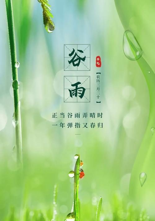 描写谷雨的句子怎么写?（谷雨时节，润物无声的诗意篇章）