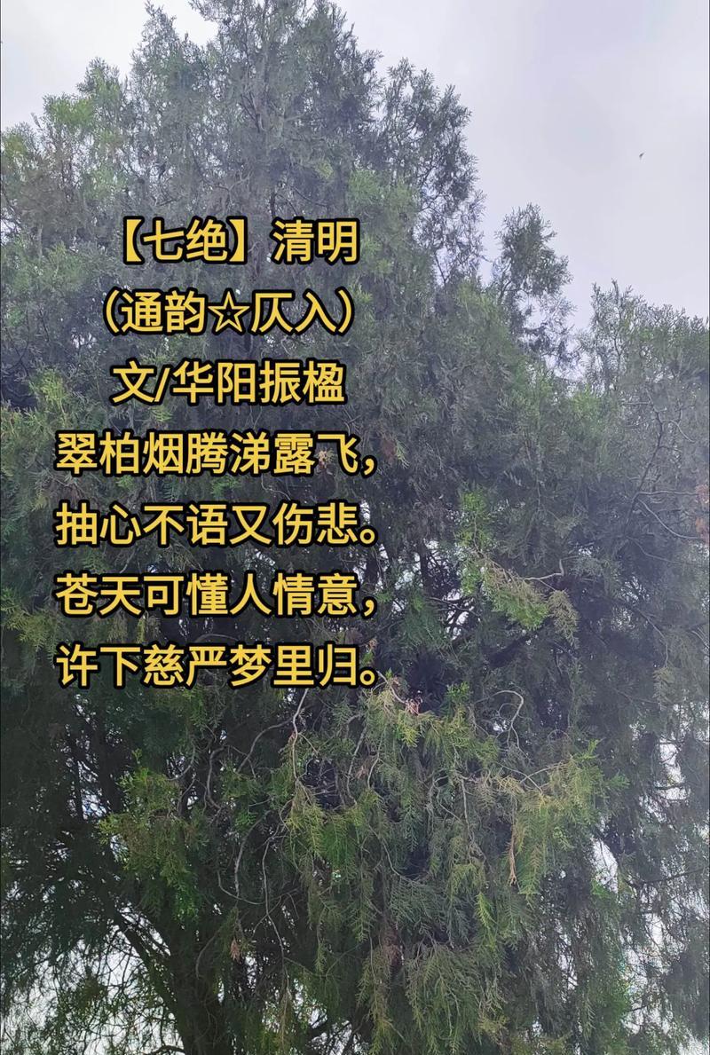 清明节睹物思人，有哪些句子能表达哀思？（《清明寄思：翠色中忆故人》）