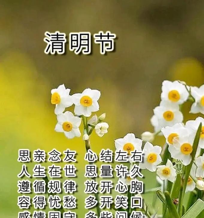 清明时节,思绪满怀的意思（《清明忆思：碧落黄泉间，岁月静好》）