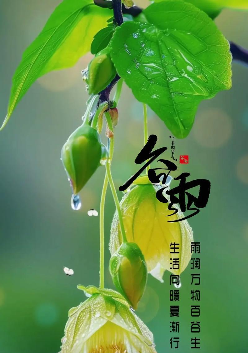 童话谷雨金句好句有哪些？（《童话谷雨润心田，古风悠扬墨香浓》）