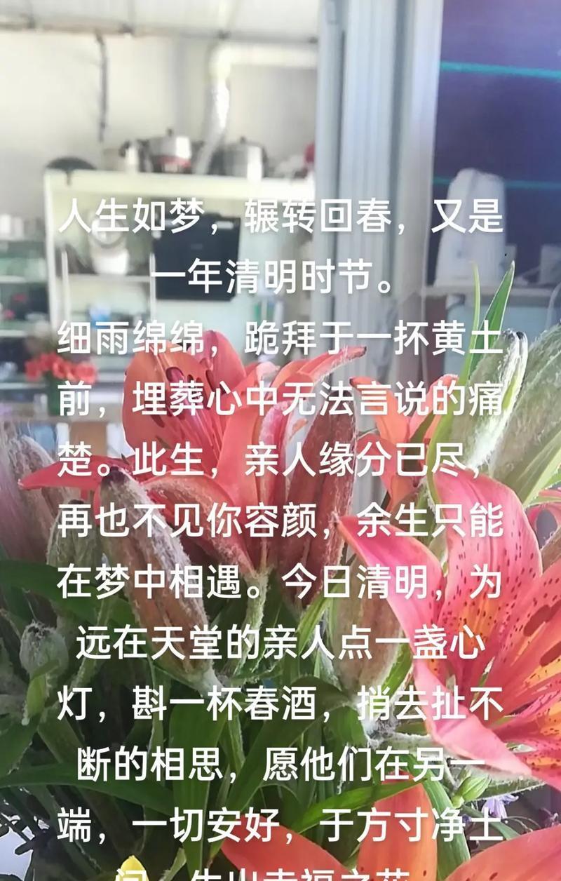 有关清明祭奠先人的感谢摘抄的句子怎么写（《清明祭意：缅怀与感恩的诗行》）