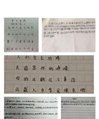 《清明祭》摘抄好句有哪些？（《踏青赏花，思古怀今》）