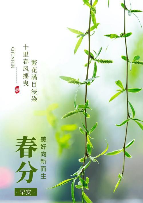 春分时节如何挑选合适的诗句素材？（《春分时分，物华天宝》）