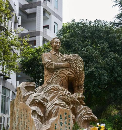 清明缅怀袁隆平：哪些句子最能表达敬意？（《缅怀袁公，缅怀梦田》）