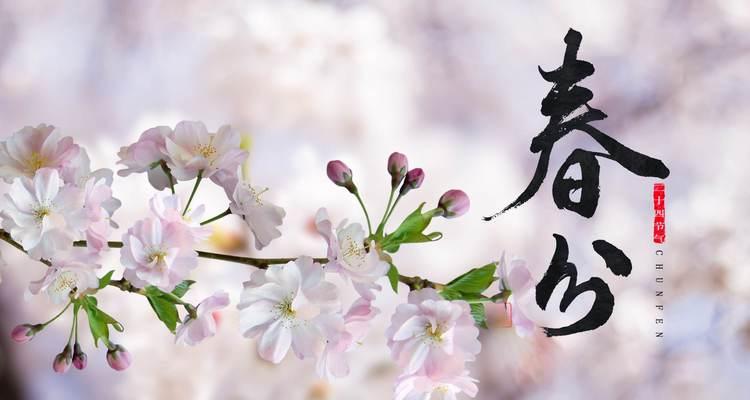 春分时节有哪些优美的诗句？（《春分：细雨润物细无声》）