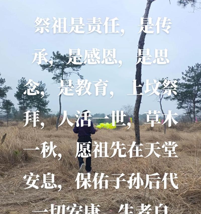 清明祭祖短句好句有哪些？（《常宁清明，翠柏承孝思》）