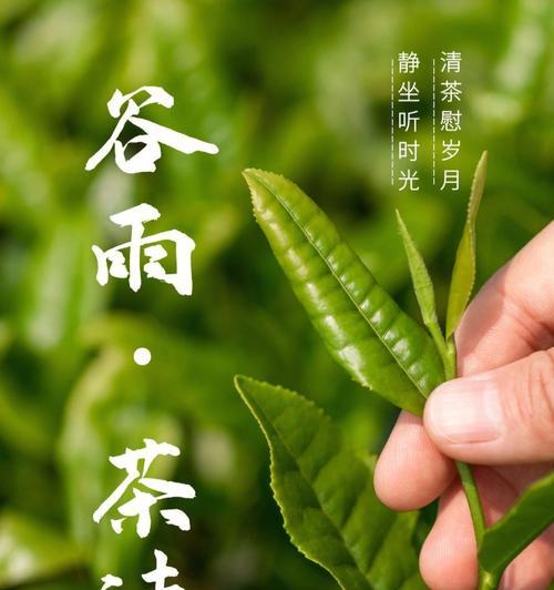 茶思的意思是什么（《谷雨茶思：碧波轻拂，古韵今风》）
