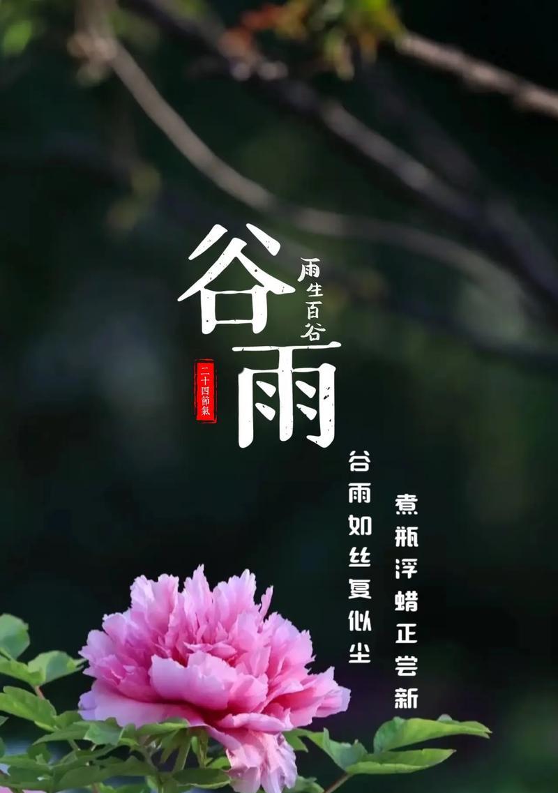 春天的谷雨有什么特点（《谷雨润春心，翠意盎然赋》）