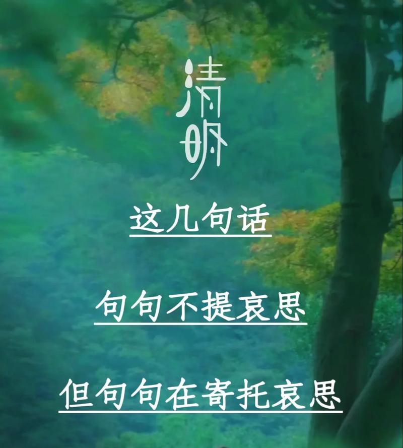 有关让内心更清明自在句子的句子怎么写（《心如止水，境随心转》）