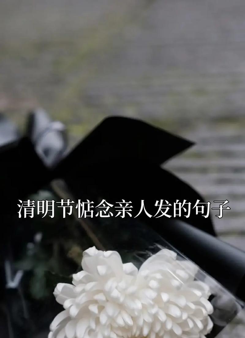 清明节思念亲人时，哪些摘抄句子最能表达哀思？（《清明念远：烟雨中的人间四月天》）