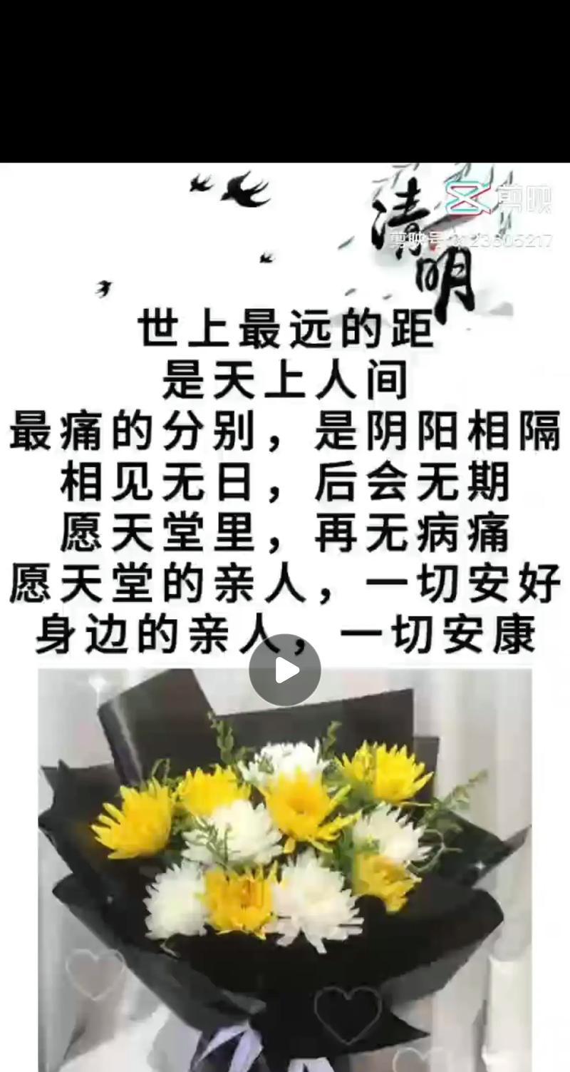 清明节如何表达追思之情？（《清明追思：烟雨中的诗意怀念》）