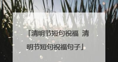 有关清明节庙会致词短句的短句怎么写（《翠柳芳草间，清明庙会祭》）