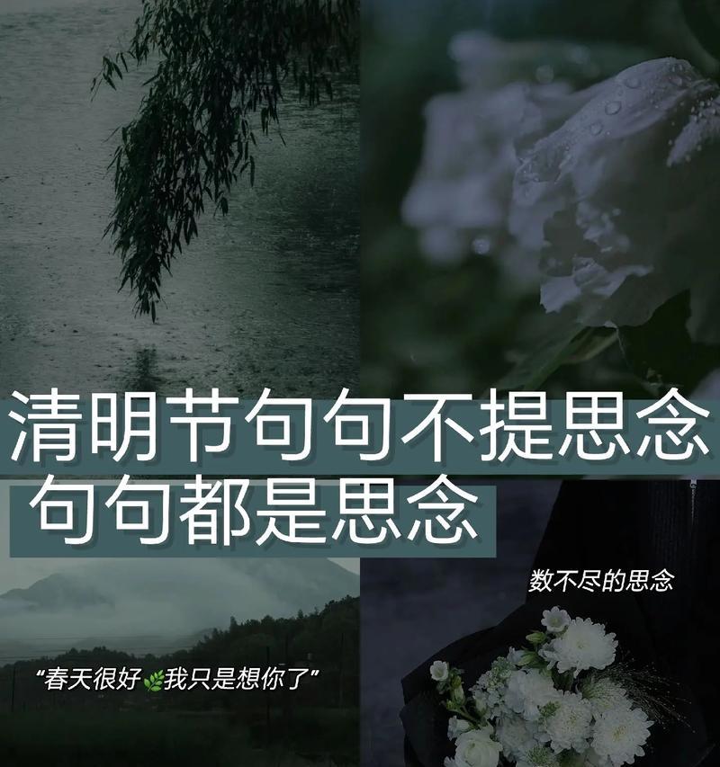 清明情思是什么意思（《墨香拂面，清明情未了》）