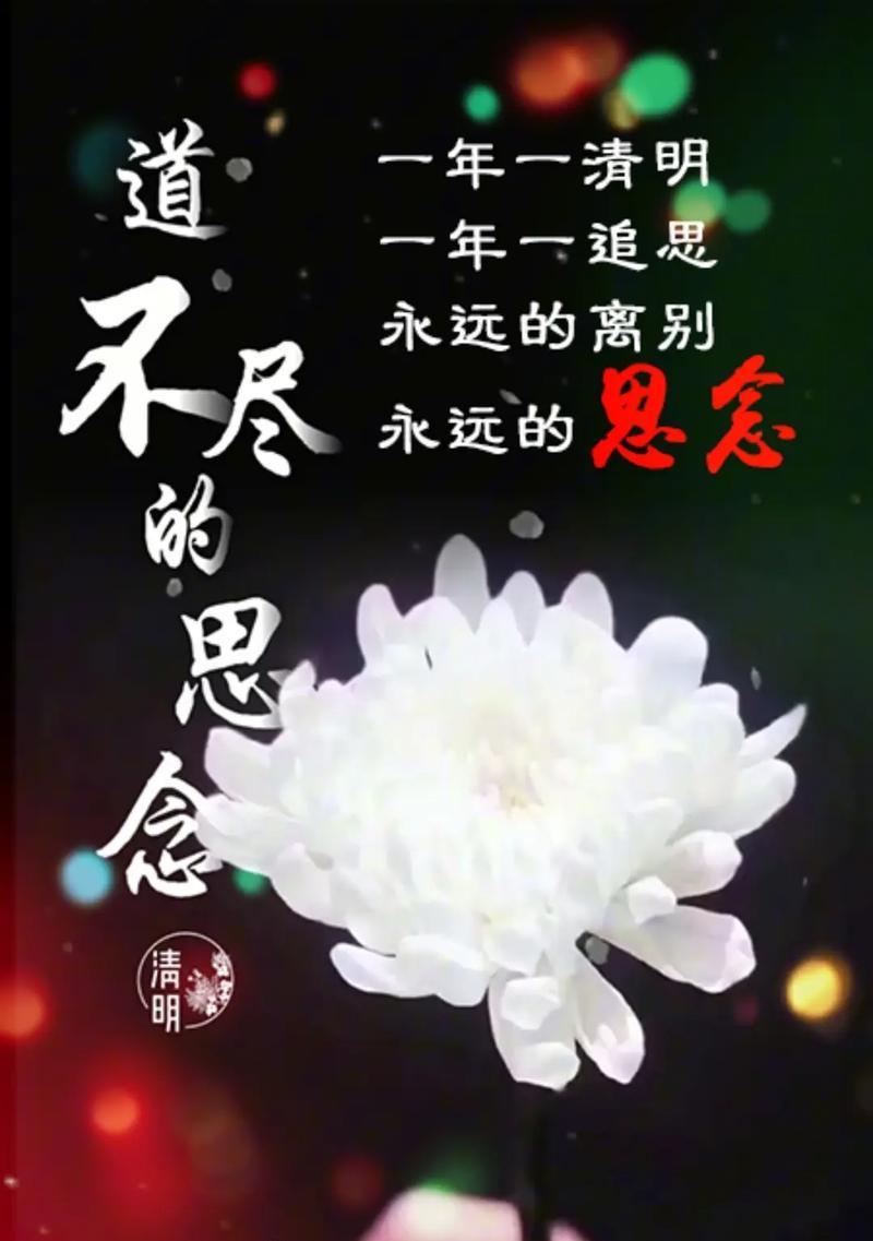 清明情思是什么意思（《墨香拂面，清明情未了》）