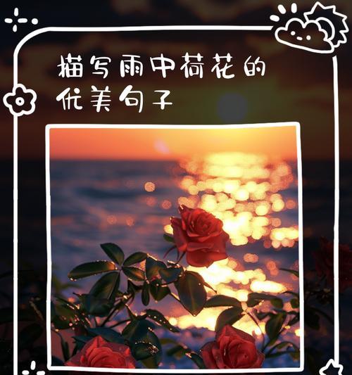 谷雨时节赏花（《谷雨荷影》）