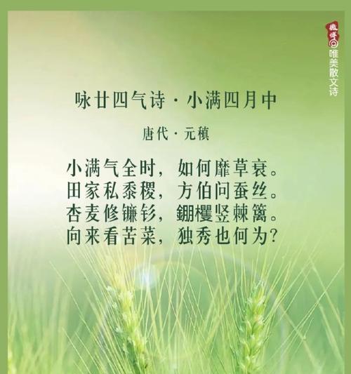 关于小满的文案开头怎么写（《小满时节，静赏流年》）