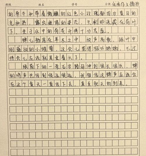 又逢这样的季节作文（《盛夏光影下的童真》）